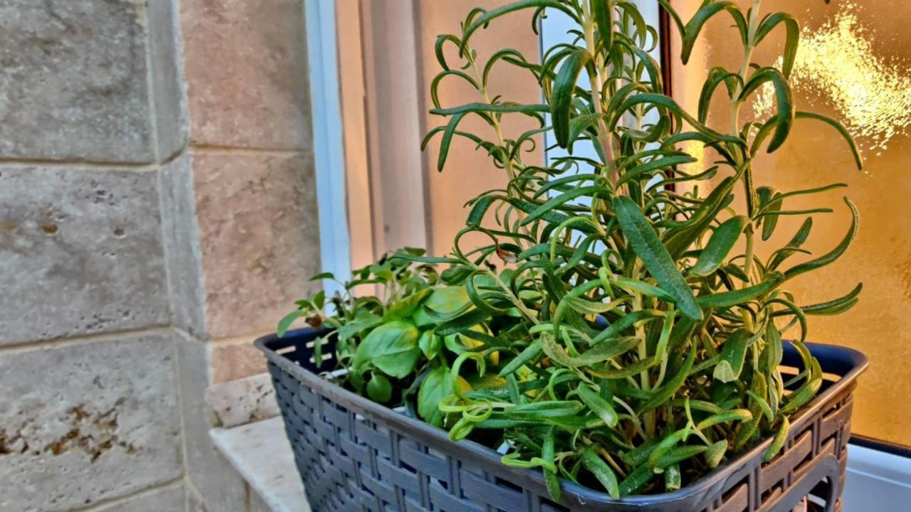 Primrose Boutique Apartment Ashdod Luaran gambar