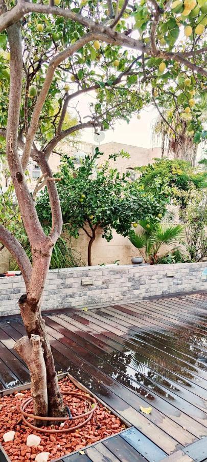 Primrose Boutique Apartment Ashdod Luaran gambar