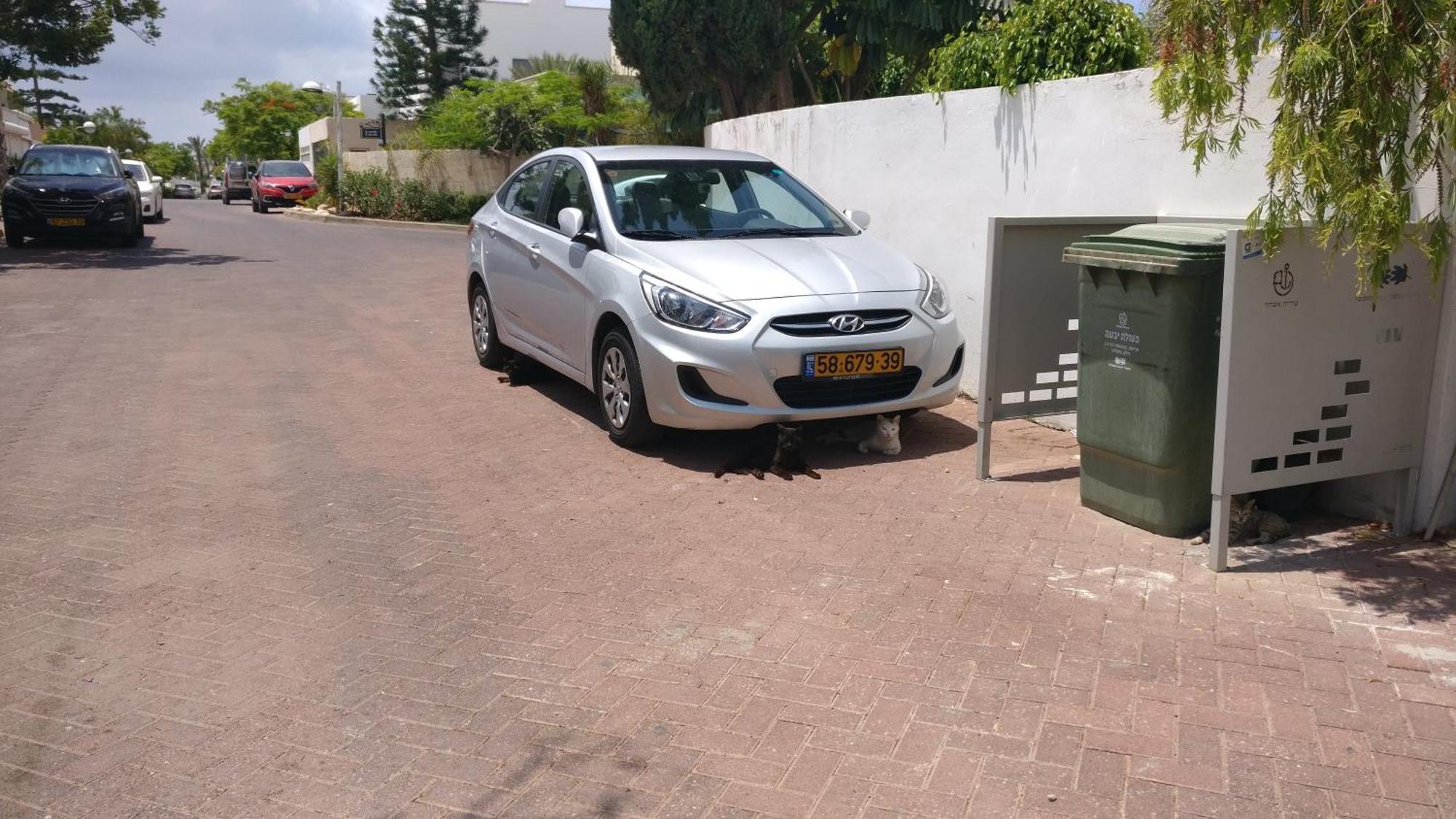 Primrose Boutique Apartment Ashdod Luaran gambar